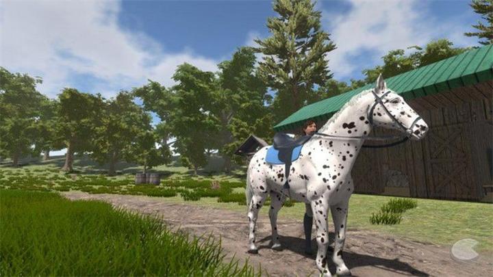 Produktbild Bigben My little Riding Champion (PS4, DE)
