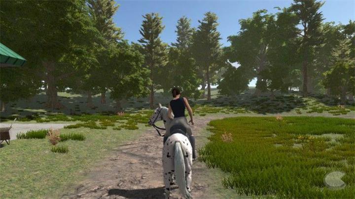 Produktbild Bigben My little Riding Champion (PS4, DE)