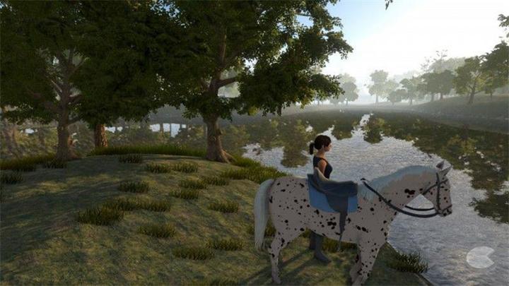 Produktbild Bigben My little Riding Champion (PS4, DE)