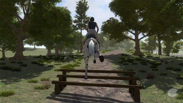 Produktbild Bigben My little Riding Champion (PS4, DE)