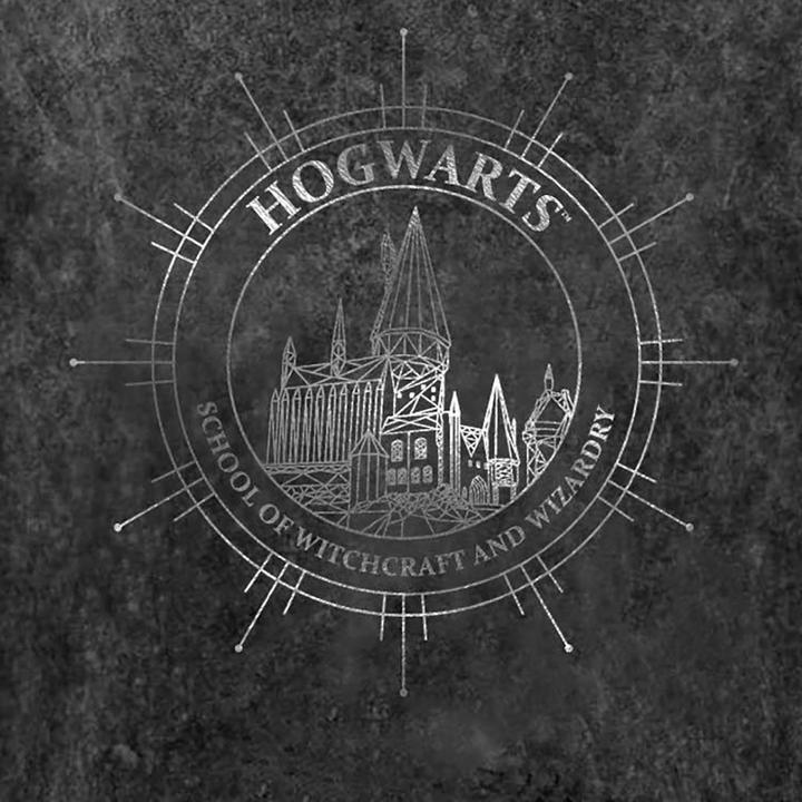 Immagine prodotto Tshirt con la costellazione di Hogwarts (S)