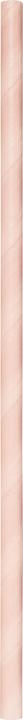 Actual product image Folia Straws (25 x)