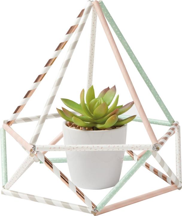 Actual product image Folia Straws (25 x)