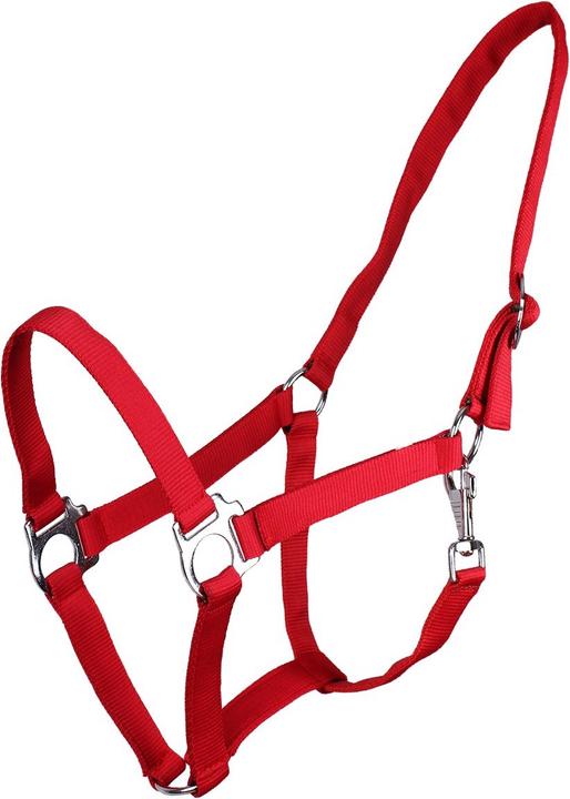 Immagine prodotto Qhp cavezza di nylon con fibbia scorrevole