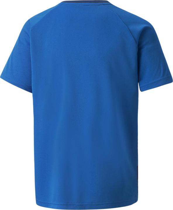Produktbild Puma teamVISION Jersey Jr-704928 (164)