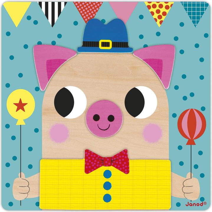 Actual product image Janod Magnetic educational game
