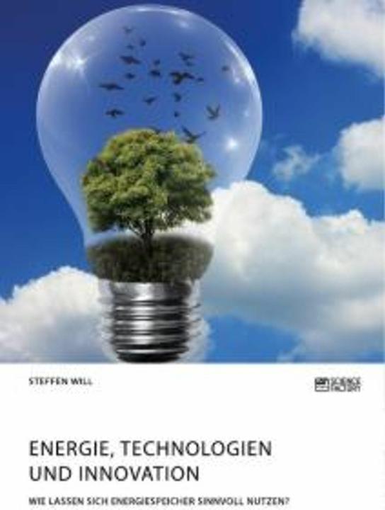 Produktbild Energie, Technologien und Innovation. Wie lassen sich Energiespeicher sinnvoll nutzen? (Deutsch, Steffen Will, 2020)