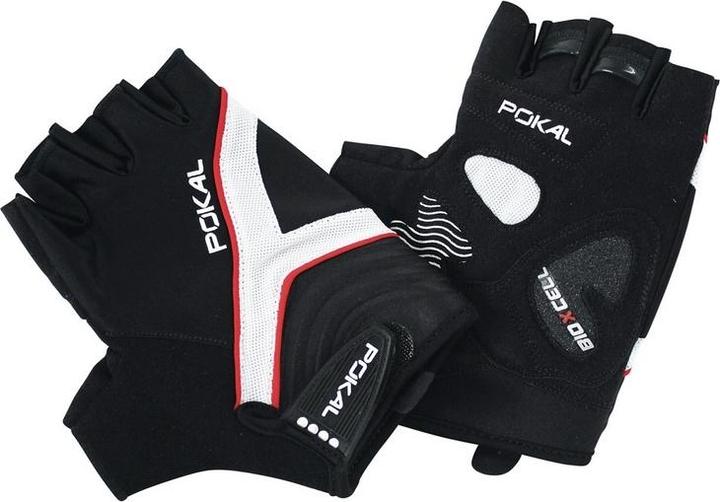Pokal Bioxcell (XL)