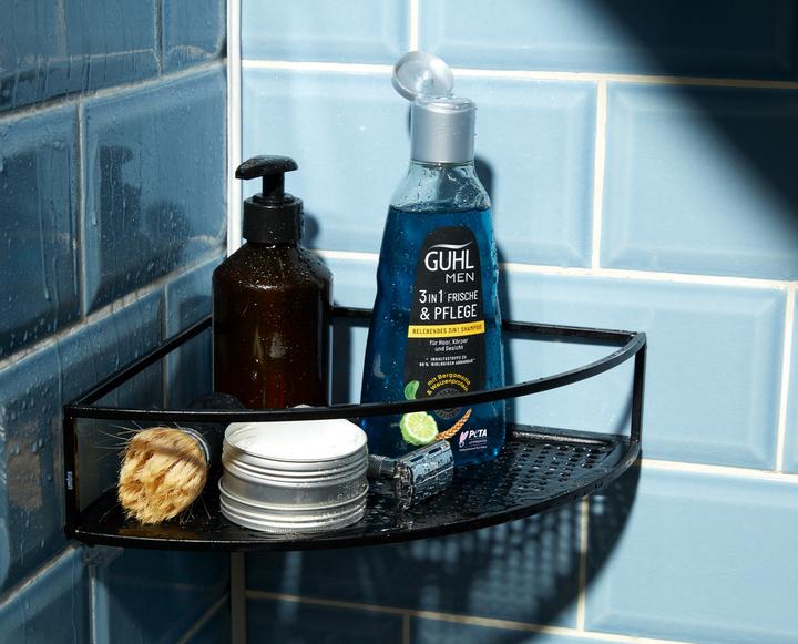 Immagine prodotto Guhl Uomo 3in1 Shampoo Freschezza e Cura (250 ml, Shampoo liquido)