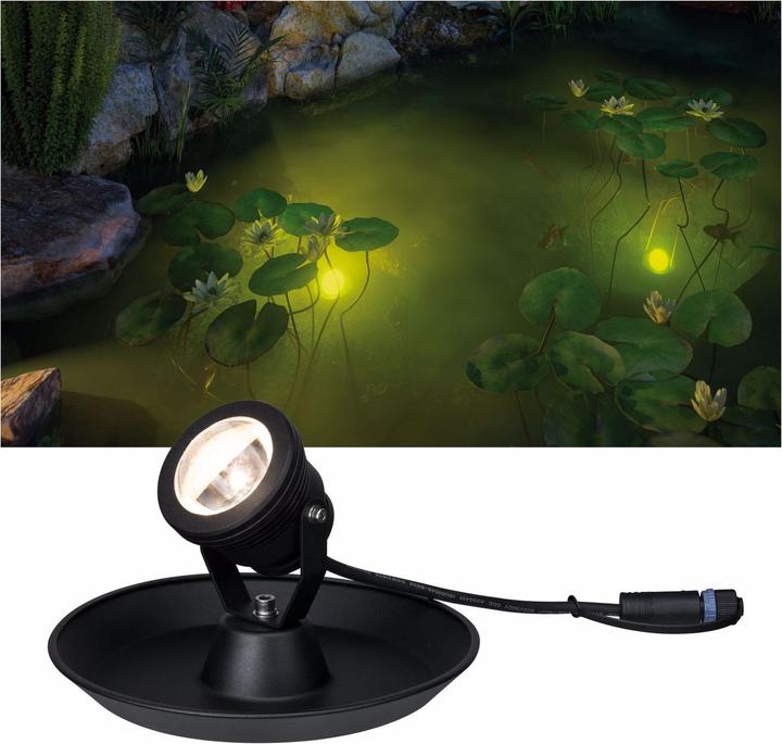 Actual product image Paulmann Plug & Shine Underwater Spotlight (400 lm, IP68)