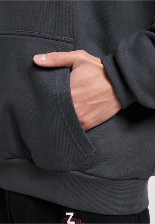Actual product image Dangerous DNGRS DNGRS Brave Hoodies - 188419 (L)