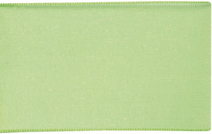 Image du produit Glorex Ruban d'organza 10 mm vert clair