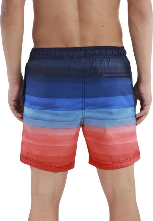 Actual product image Speedo SNA Print Volley 17" Watershorts (XL)
