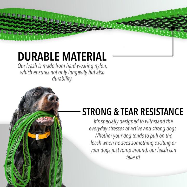 Produktbild Bluzelle Doppelleine (XL, Hund, Spazieren)