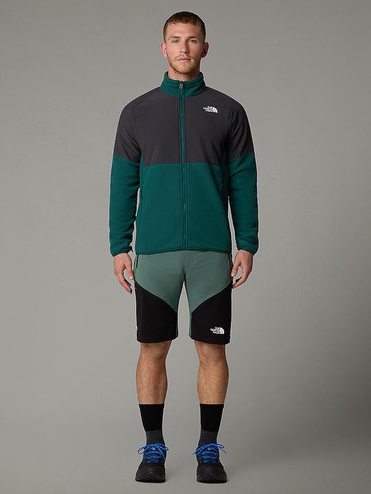 Actual product image North Face Felik Slim Tapered (M)