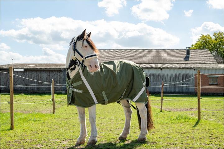 Produktbild Stallone Regendecke Outdoor Guard High Neck (95 cm)