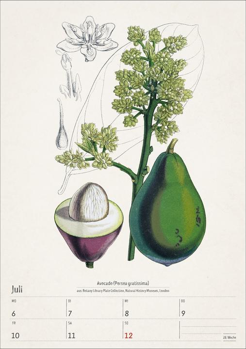 Actual product image Harenberg Bunte Pflanzenwelt Wochenplaner 2026 - 53 historische Illustrationen (Hardcover, German)