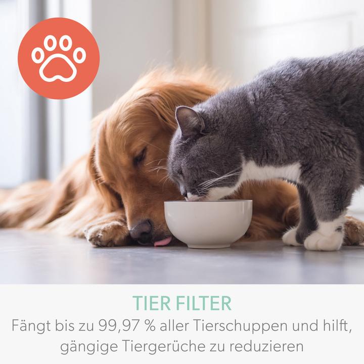 Image du produit Leitz Filtre à charbon actif TruSens 2415132 animal, HEPA (1 x)