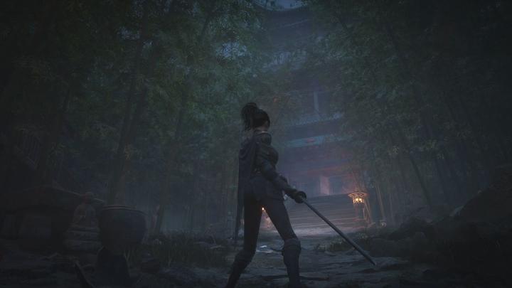 Actual product image 505 Games Wuchang: Fallen Feathers - Day One Edition (PS5, DE)