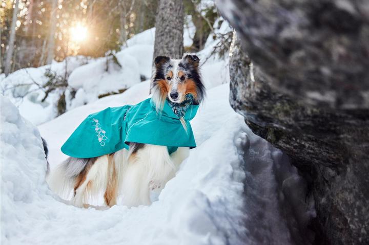 Actual product image Hurtta Monsoon V2 Eco green mackintosh, 60 cm (60, Dog raincoat)