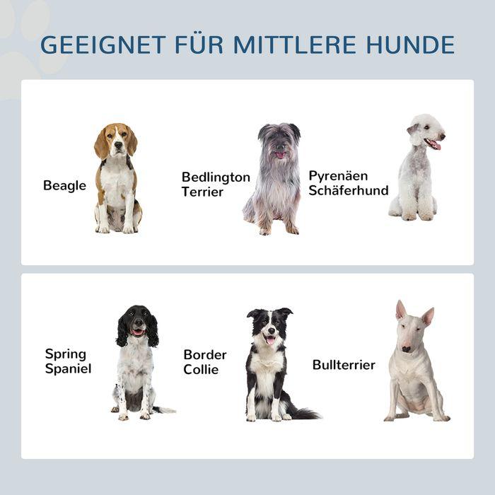 Produktbild Swisshandel24 Hundenapf erhöht, Höhenverstellbar Futternapf für Hunde mit Stauraum, Weiss (1 l)