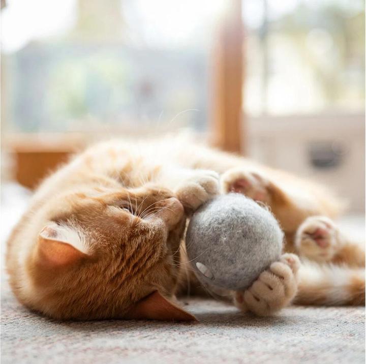 Actual product image CanadianCat Cat toy felt ball with scent bag (Cat ball toy)