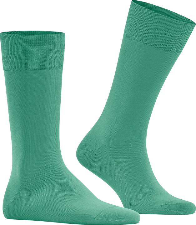 Actual product image Falke Cool 24/7 Herren (41 - 42)