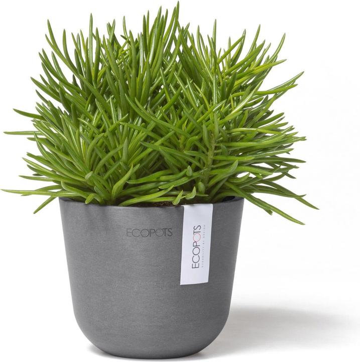 Image du produit Ecopots Oslo Mini (11.50 cm)