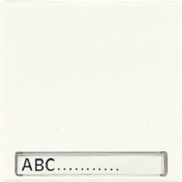 Image du produit JUNG interrupteur à bascule avec champ d'écriture