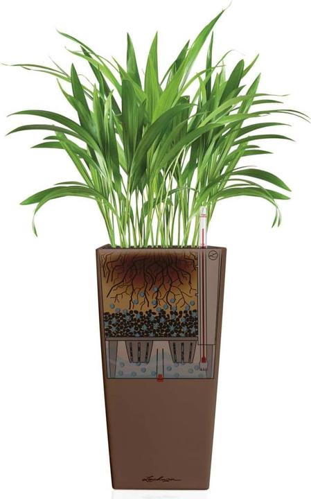 Actual product image Lechuza Cubico Color (39.50 cm)