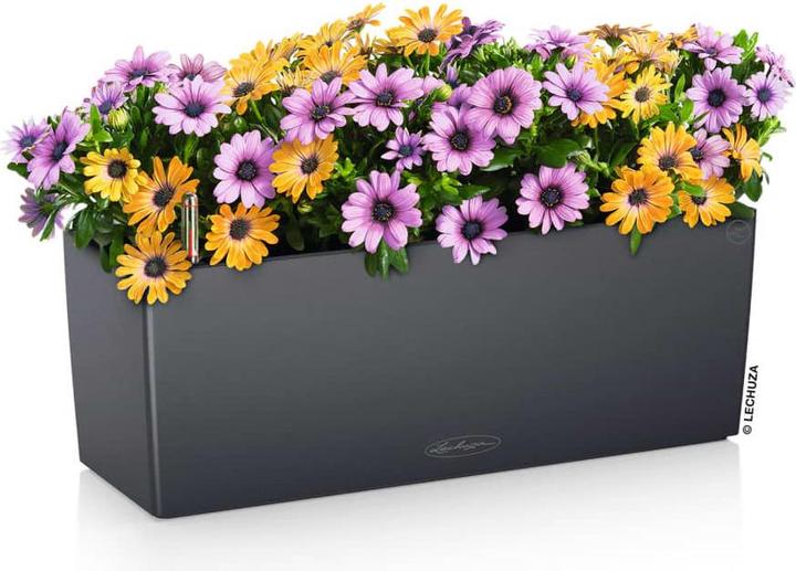 Produktbild Lechuza Balconera Color (19 cm)