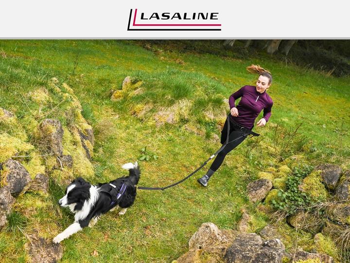 Produktbild Lasaline Hunde Zuggeschirr X Back für Canicross (XS, Hund, Hundesport)
