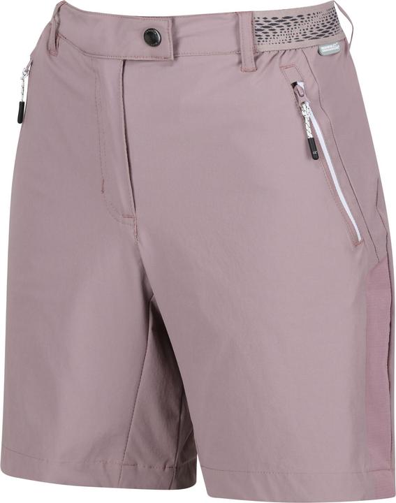 Actual product image Regatta Womens/Ladies Mountain II Shorts (40)