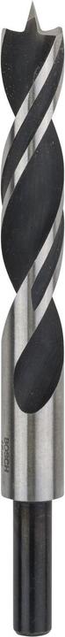 Actual product image Bosch Professional Zubehör Wood twist drill 16 mm Access (16 mm)