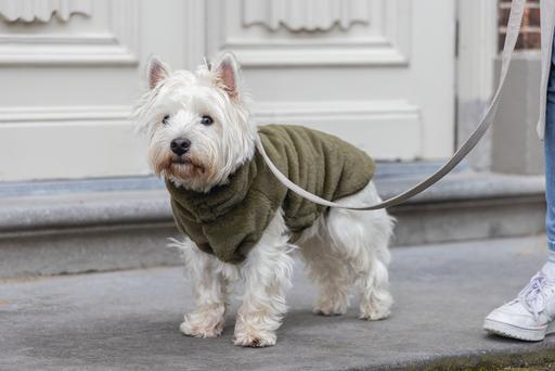 Produktbild Designed by Lotte Hundemantel Victoria (M, Hundemantel)