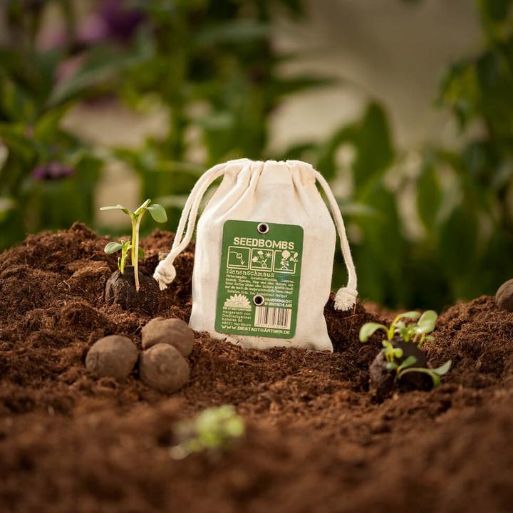 Actual product image Die Stadtgärtner Seed bombs bee feast (Flower seeds)