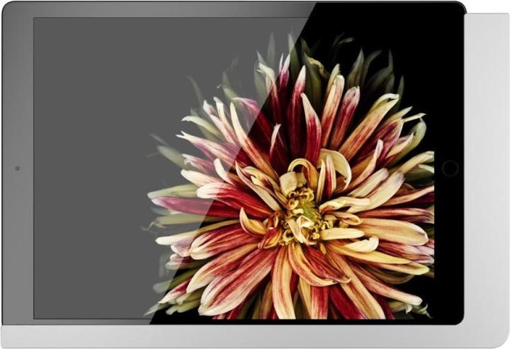 Produktbild Viveroo Wandhalteurng free SuperSilver für iPad Pro 12.9 Gen. 3/4/5