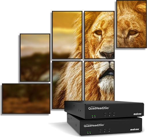 Immagine prodotto Matrox QUADHEAD2GO Q155 4K (1 GB)
