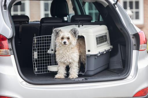 Immagine prodotto Karlie Scatola di trasporto nomade (Cane, Gatto, Chiudibile a chiave)