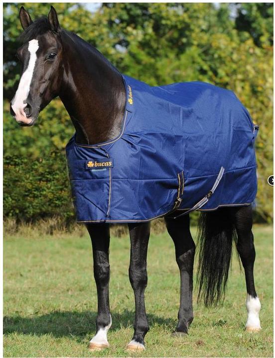 Produktbild Bucas Irish Turnout Light Classic 50g Isolation (165 cm)