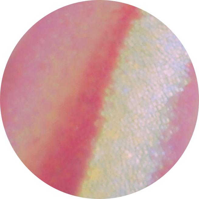 Actual product image BrillBird Magic 3 (Glitter)