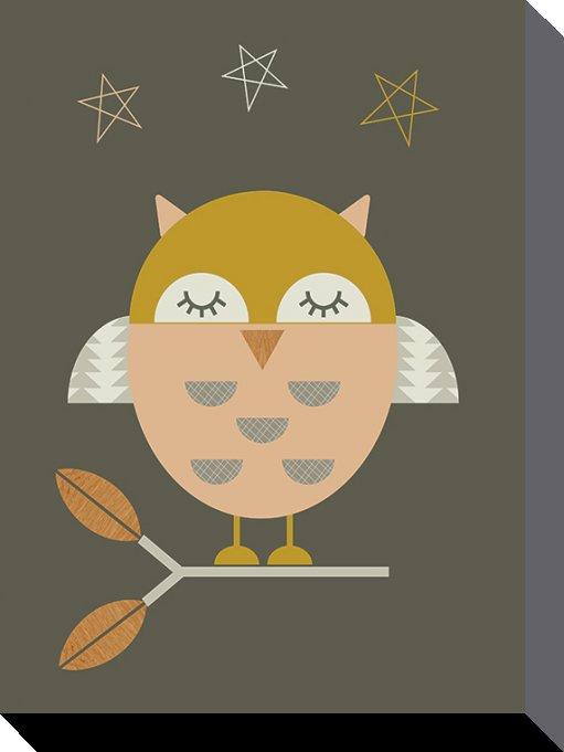 Pyramid Little Owl (30 x 40 cm)
