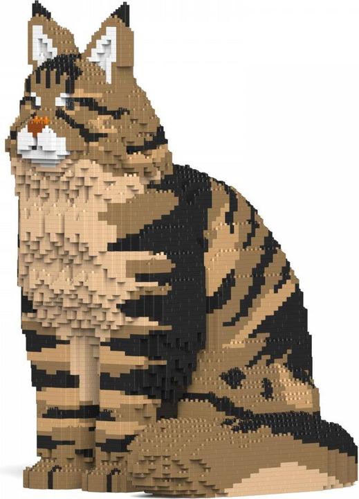 Produktbild Jekca Limited Maine Coon Katze