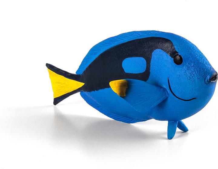 Produktbild Animal Planet Paletten-Doktorfisch