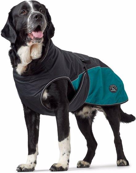 Actual product image Hunter Hundemantel Uppsala Allrounder (40, Dog coat)