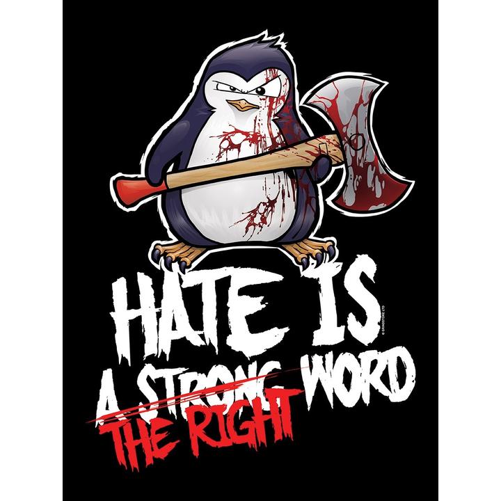 Image du produit Psycho Penguin Hate Is The Right Word Sweat à capuche (S)