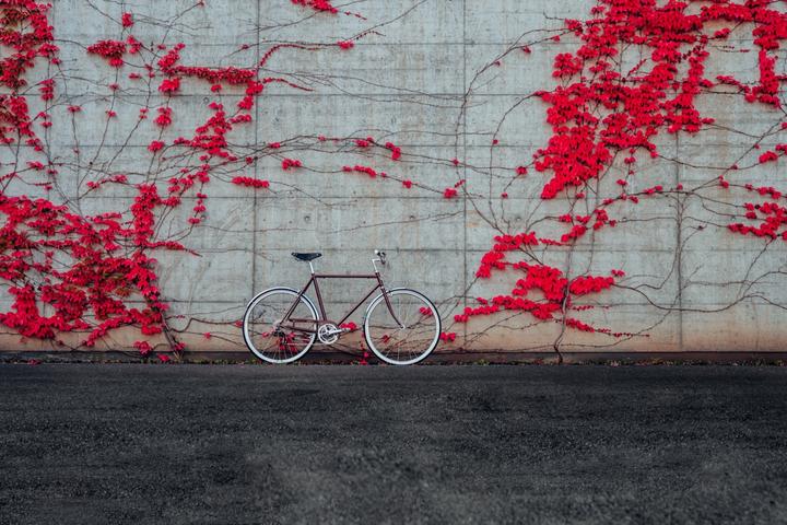 Actual product image Siech Cycles Classic (58 cm)