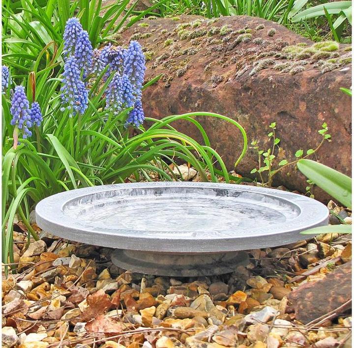 Actual product image Wildlife World Oasis
