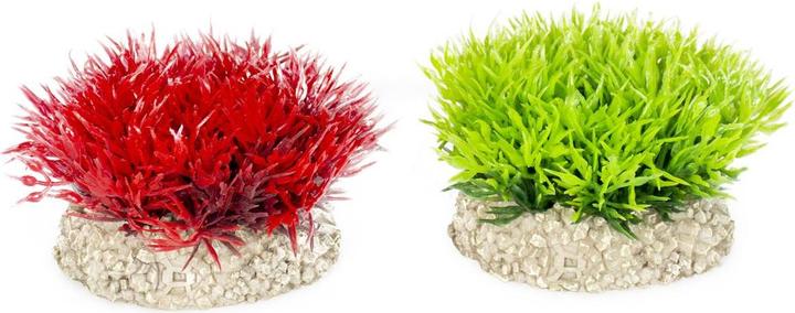EBI Aqua Della Plant Crystalwort Moss (Piante)