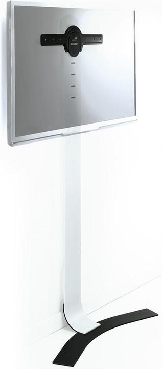 Produktbild Erard Standit 400 (65", 30 kg)